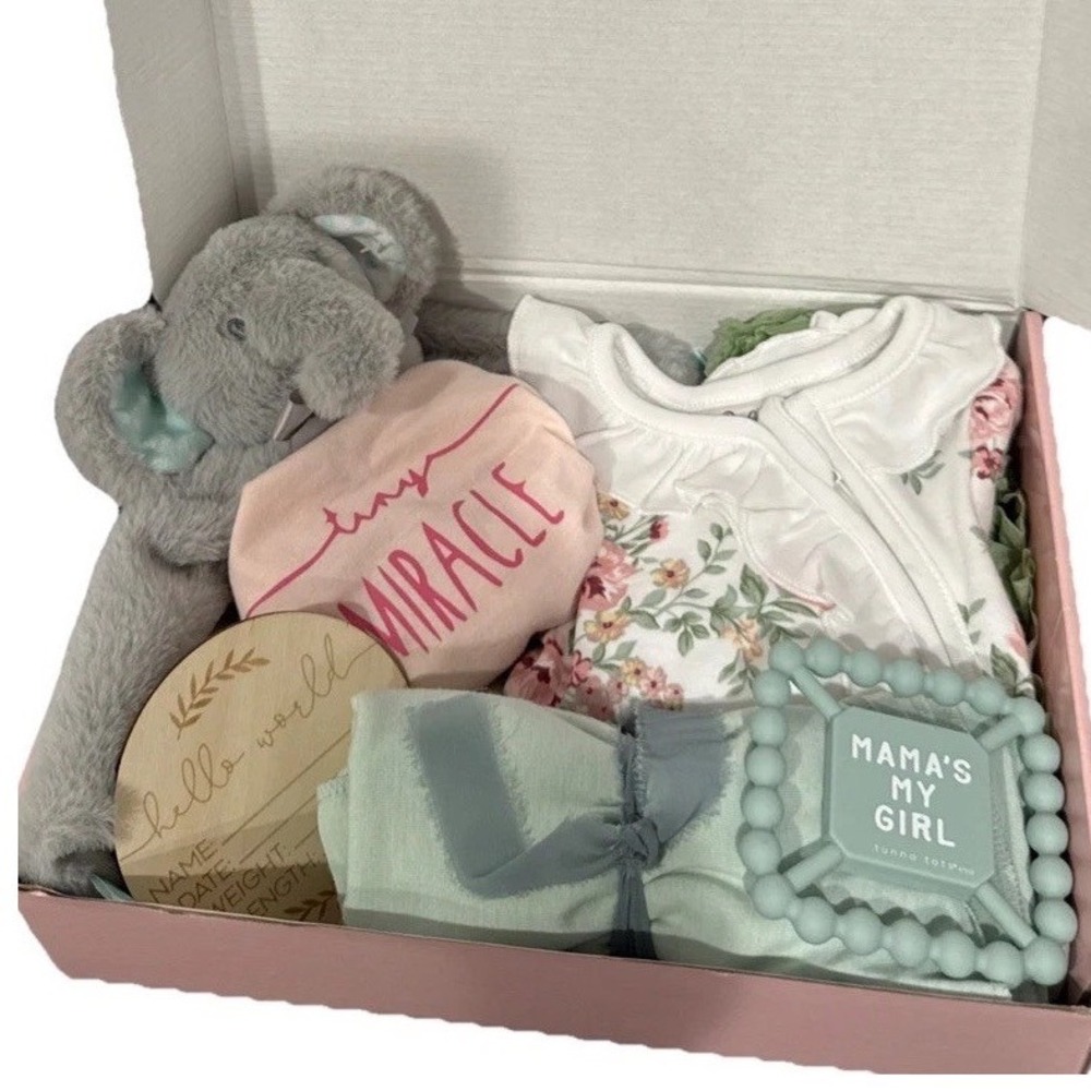 Baby Girl Elephant Gift Basket, Baby Shower Infant Essentials‎ For Newborn Girl